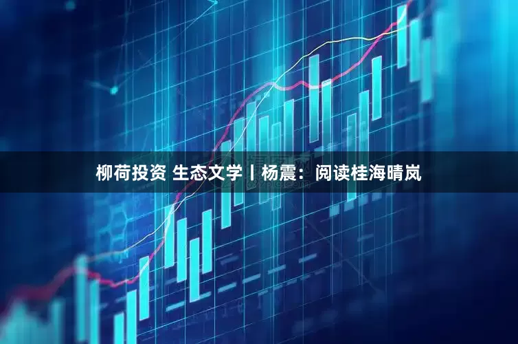 柳荷投资 生态文学丨杨震：阅读桂海晴岚
