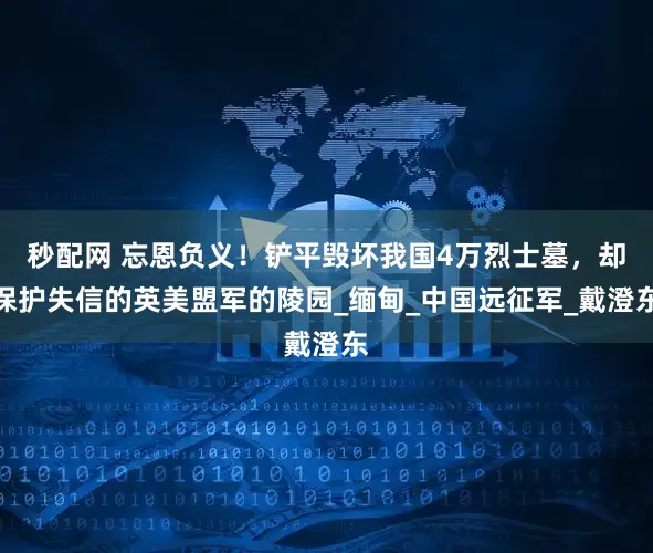 秒配网 忘恩负义！铲平毁坏我国4万烈士墓，却保护失信的英美盟军的陵园_缅甸_中国远征军_戴澄东